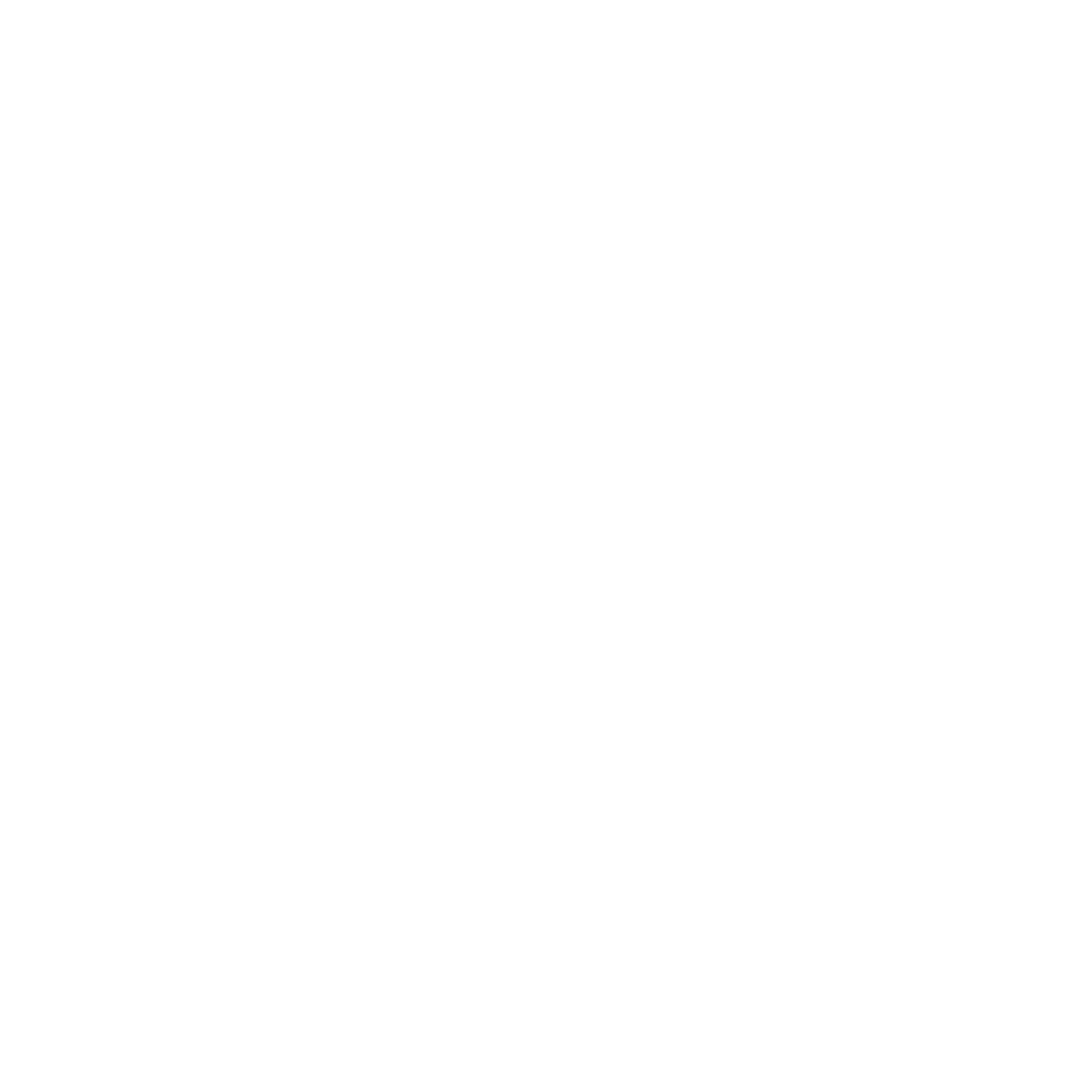 SEDS Logo